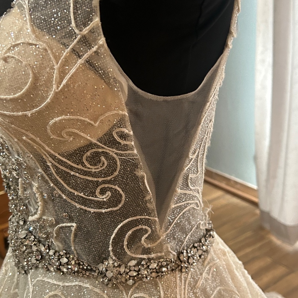 Amalia Carerra Bridal Gown Size 14 - Picture 9 of 16